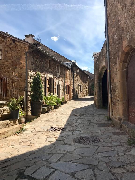 La Petite Maison Des Artistes Castelnau-Pégayrols Quarto foto
