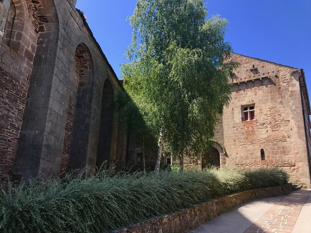 La Petite Maison Des Artistes Castelnau-Pégayrols Quarto foto