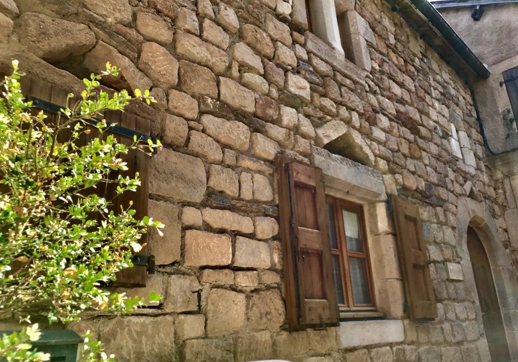 La Petite Maison Des Artistes Castelnau-Pégayrols Quarto foto